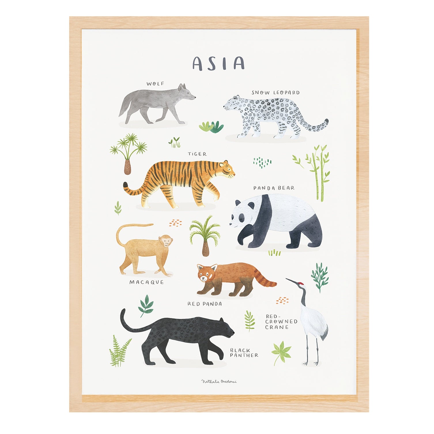 Lilipinso Framed Art Print - Animals From Asia