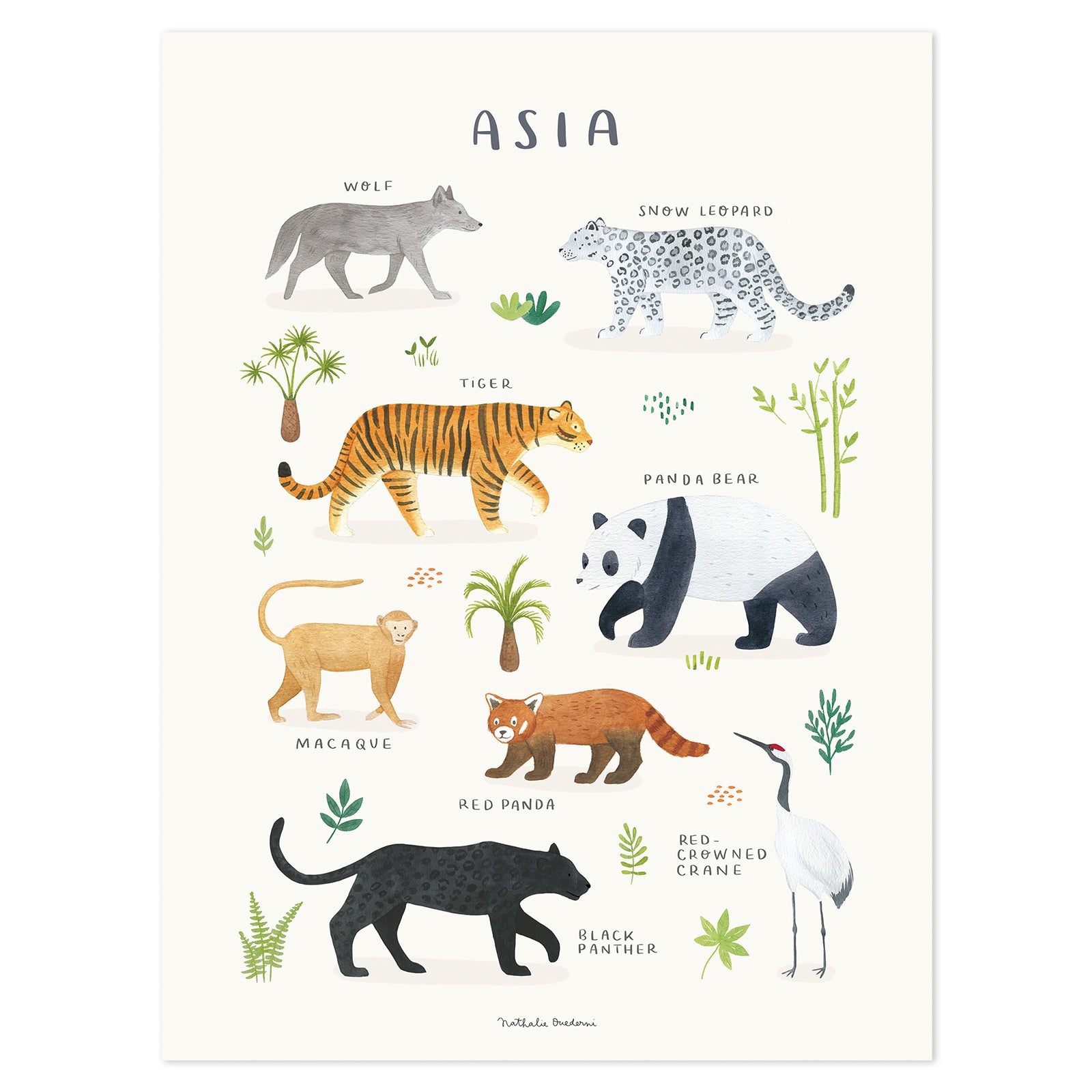 Lilipinso Art Print - Animals From Asia