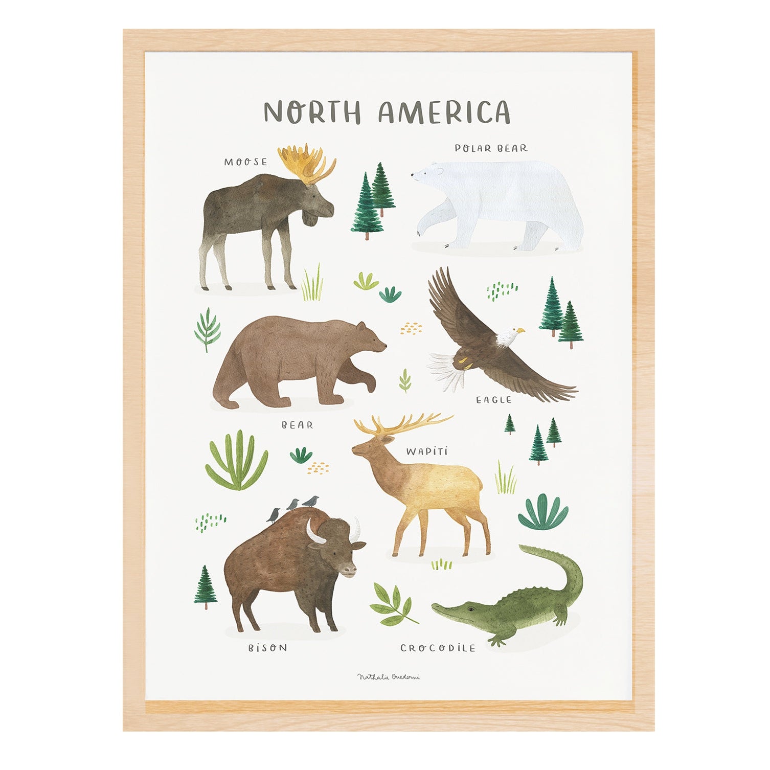 Lilipinso Framed Art Print - Animals From North America