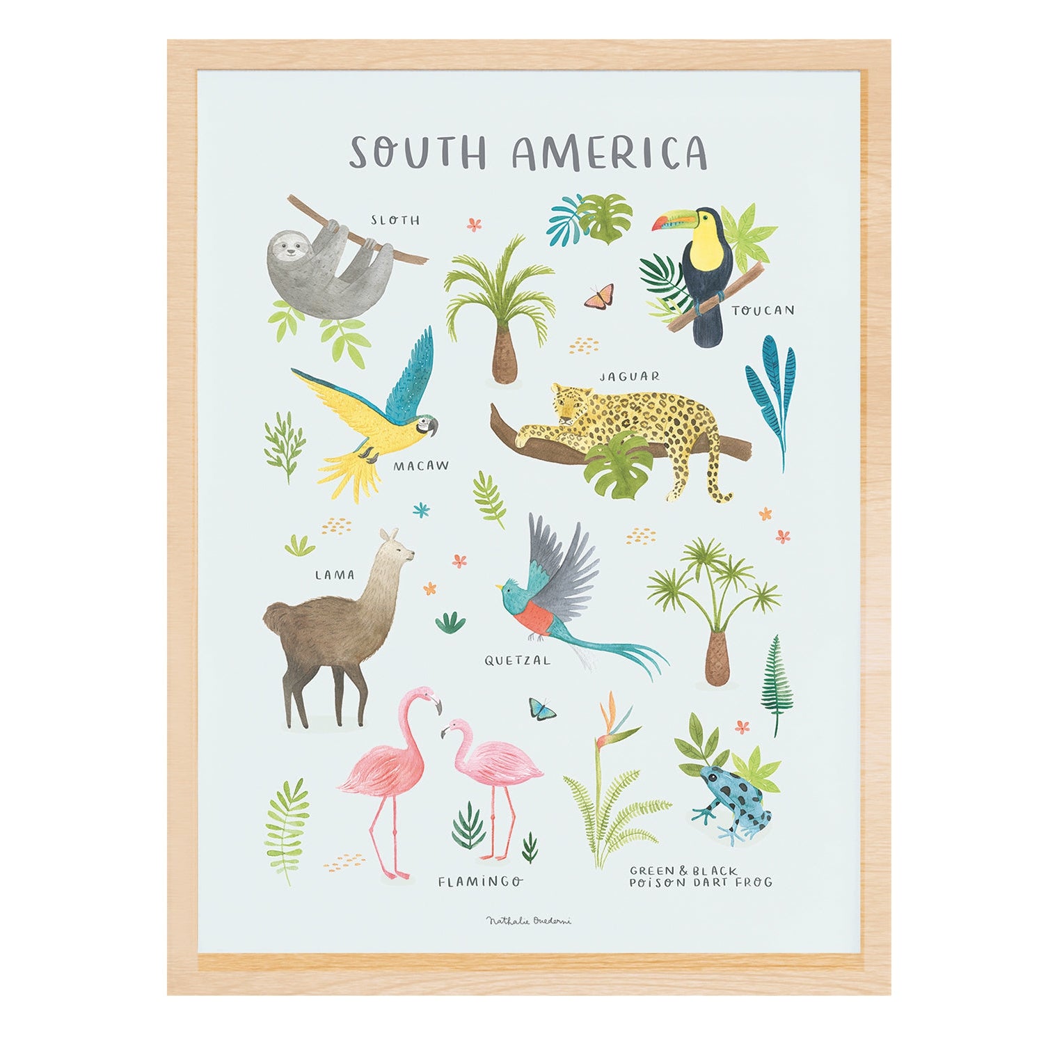 Lilipinso Framed Art Print - Animals From South America