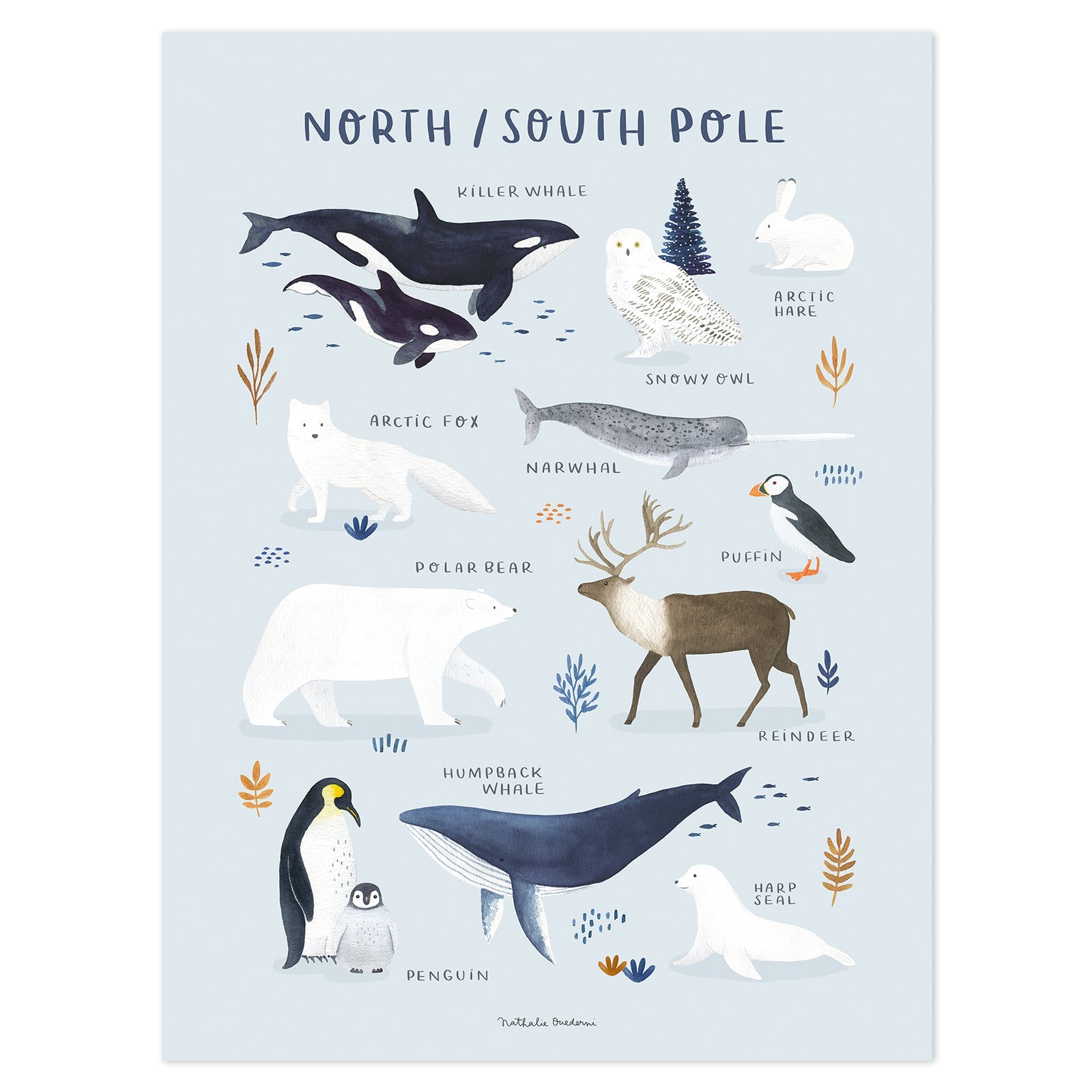 Lilipinso Art Print - Norht & South Poles