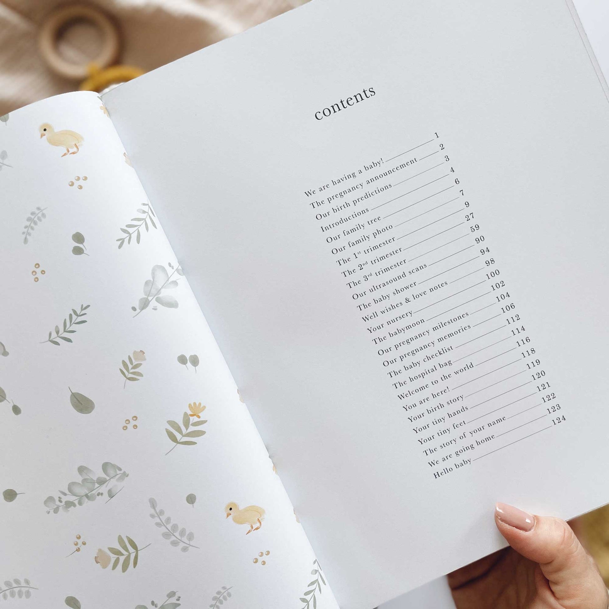 Blush and Gold My Pregnancy Journal - Animals with Gilded Edges Memory Book