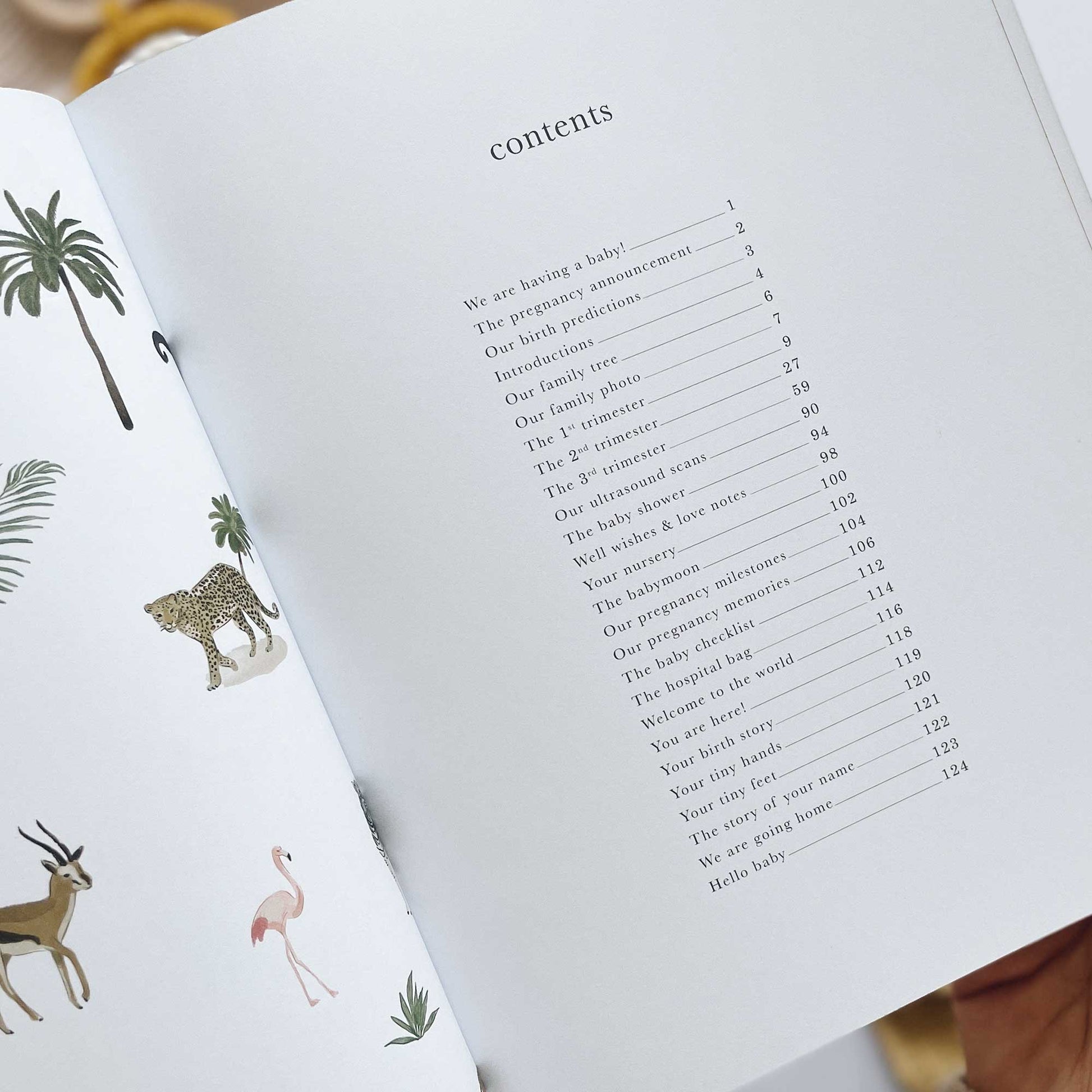 Blush and Gold My Pregnancy Journal - Jungle with Gilded Edges Memory Book