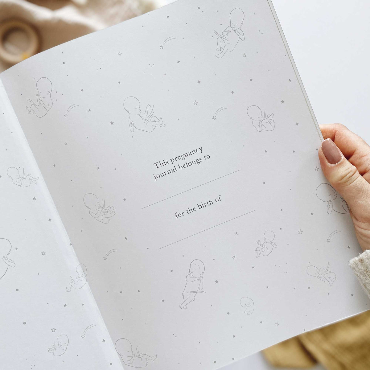 Blush and Gold My Pregnancy Journal - Grey with Gilded Edges Memory Book