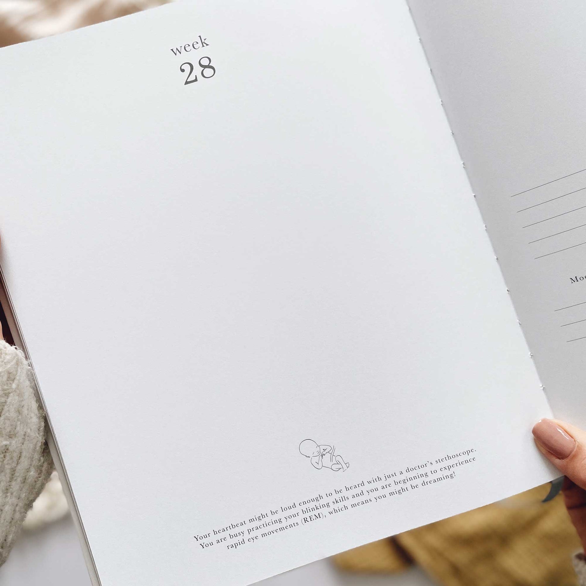 Blush and Gold My Pregnancy Journal - Animals with Gilded Edges Memory Book