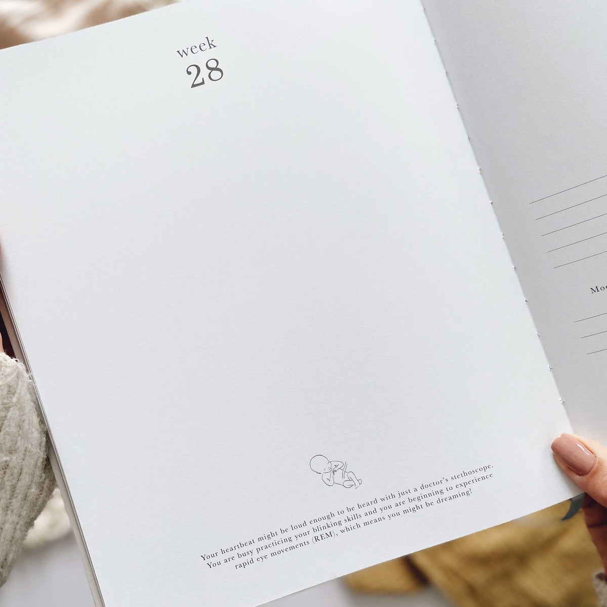Blush and Gold My Pregnancy Journal - Grey with Gilded Edges Memory Book
