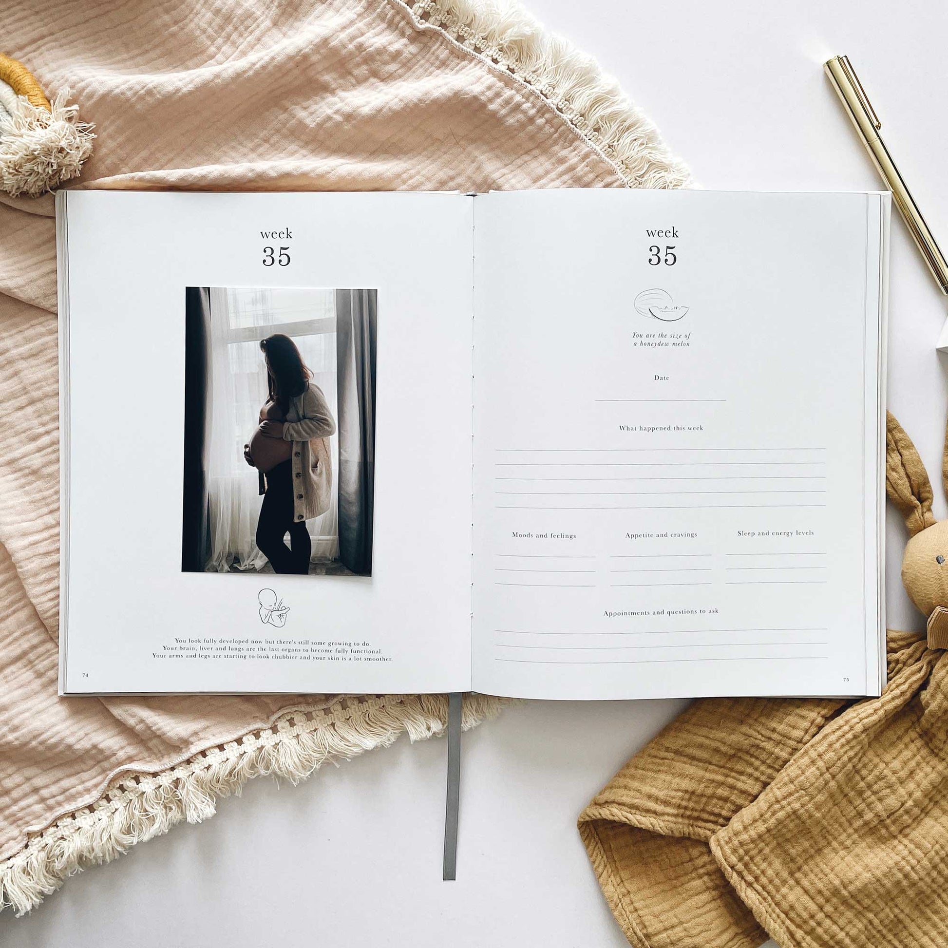 Blush and Gold My Pregnancy Journal - Jungle with Gilded Edges Memory Book