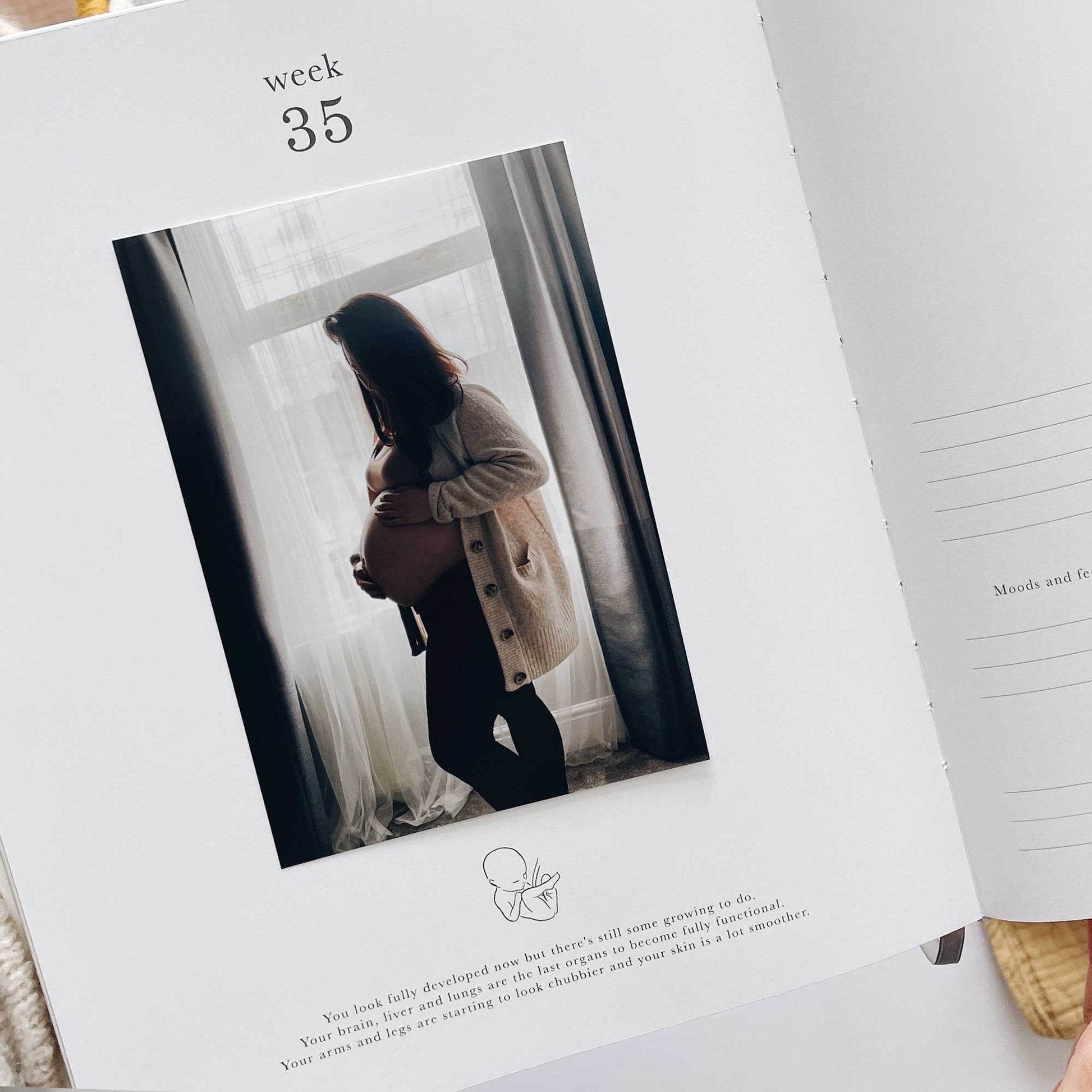 Blush and Gold My Pregnancy Journal - Jungle with Gilded Edges Memory Book