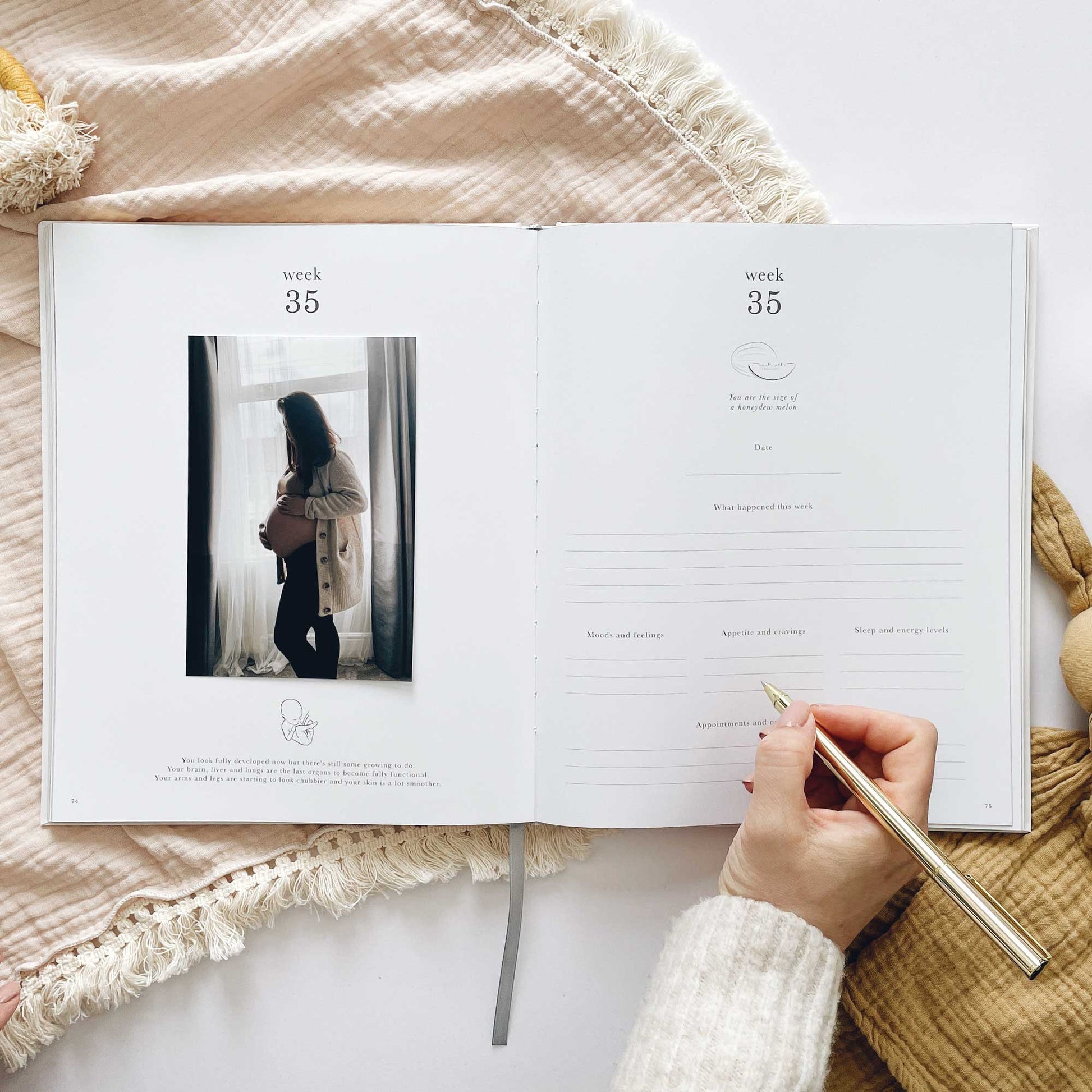Blush and Gold My Pregnancy Journal - Pearl with Gilded Edges Memory Book