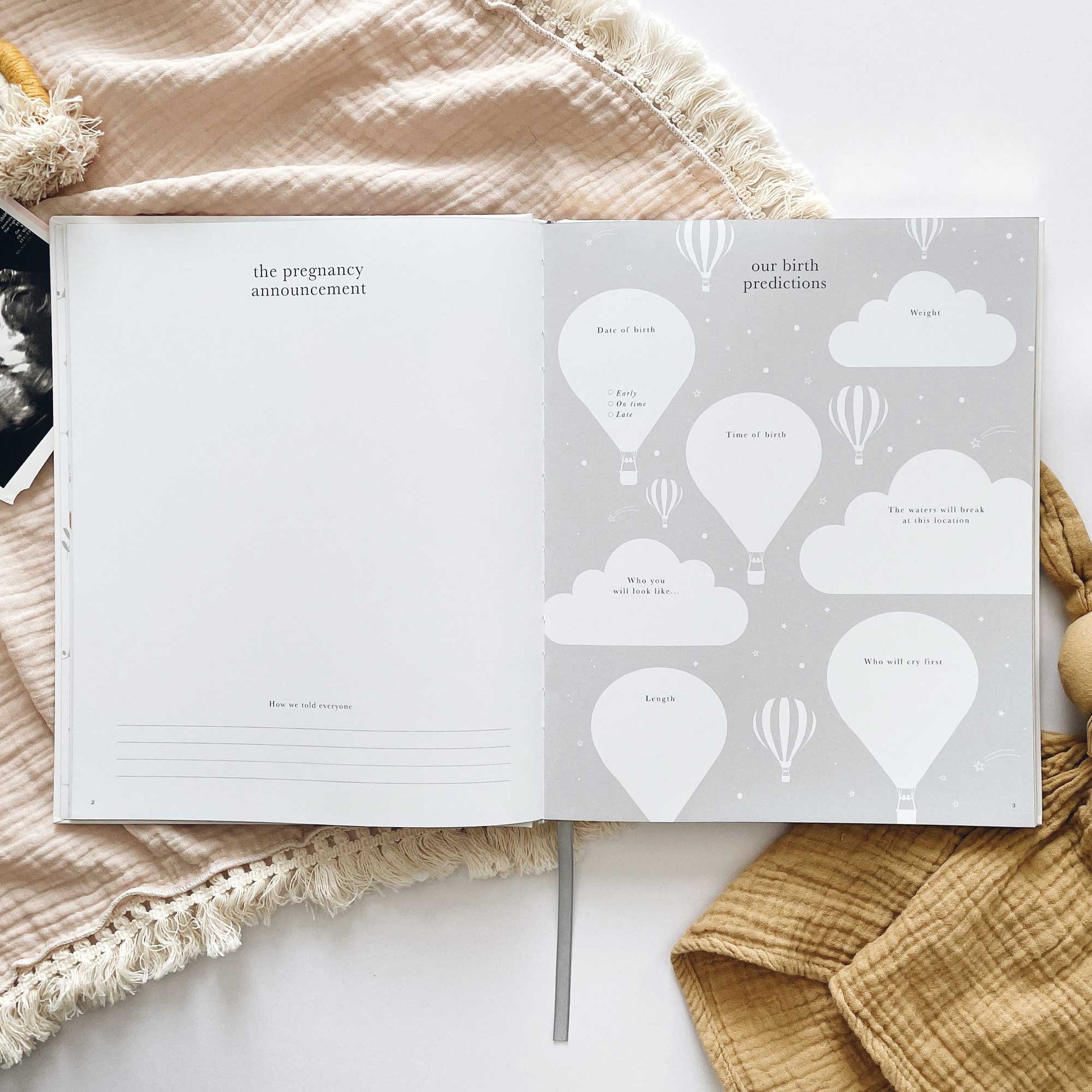 Blush and Gold My Pregnancy Journal - Pearl with Gilded Edges Memory Book