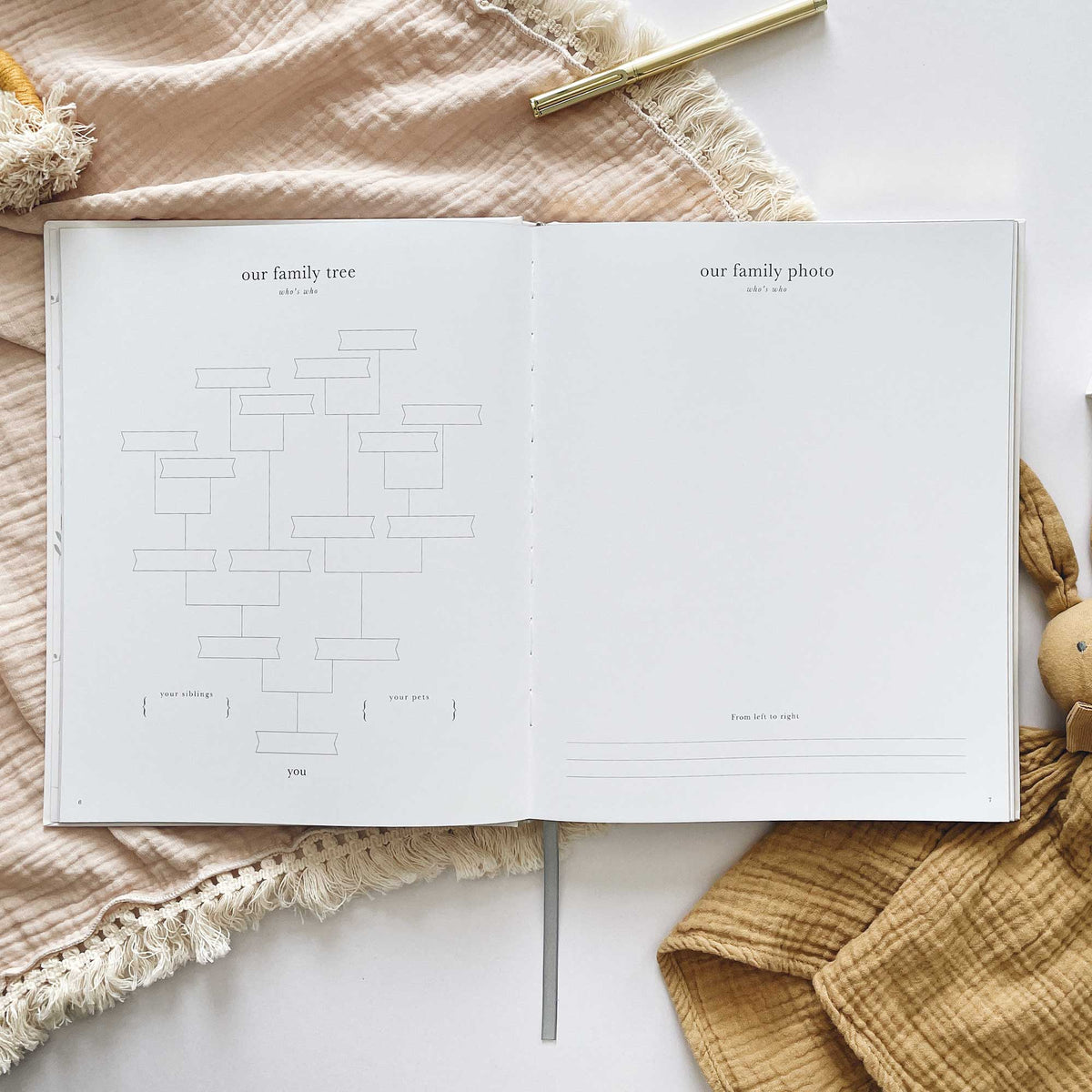 Blush and Gold My Pregnancy Journal - Grey with Gilded Edges Memory Book