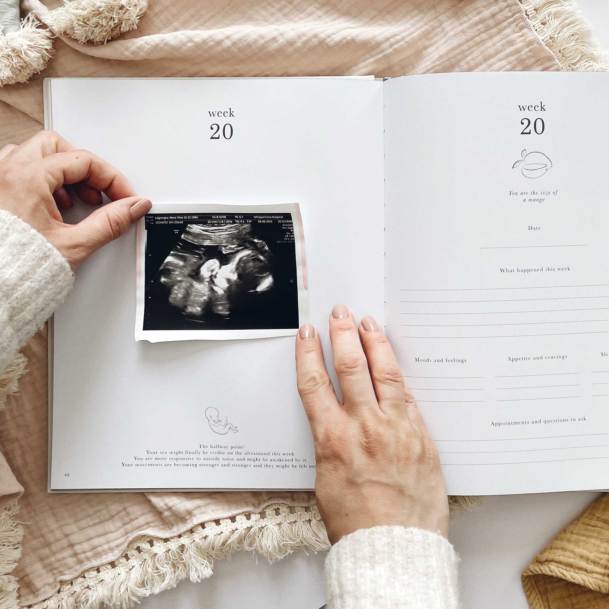 Blush and Gold My Pregnancy Journal - Jungle with Gilded Edges Memory Book
