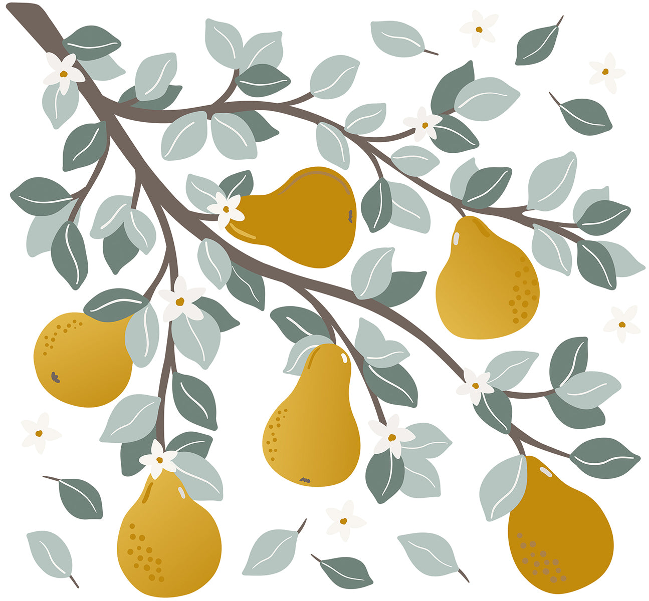 Lilipinso Wall Decals Special Size - Pears On A Branch Wall decal