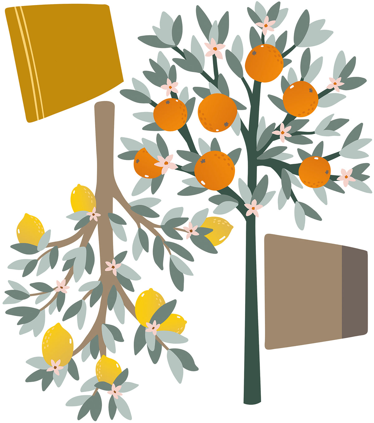 Lilipinso Wall Decals Special Size - Orange & Lemon Trees Wall decal