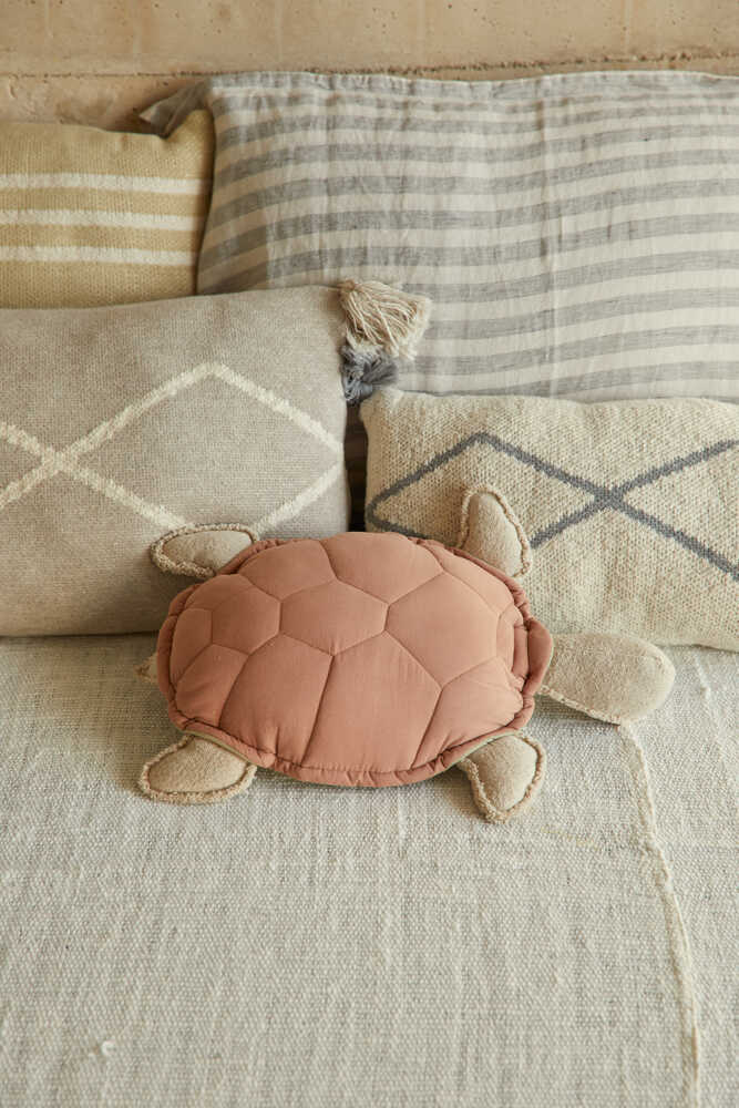Cushion Turtle  - Sea Turtle