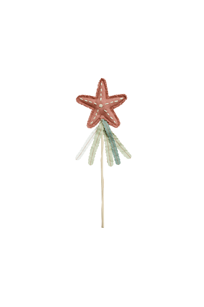 Magic Wand Starfish