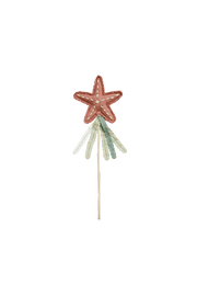 Magic Wand Starfish