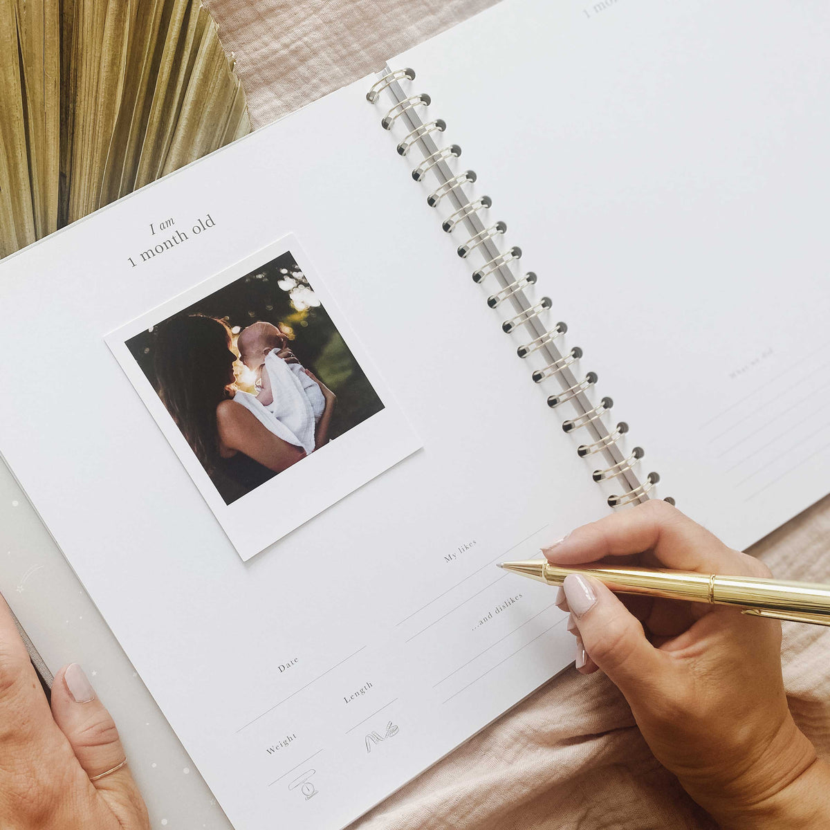 Blush and Gold My Baby Book - Baby Memory Book - Misty