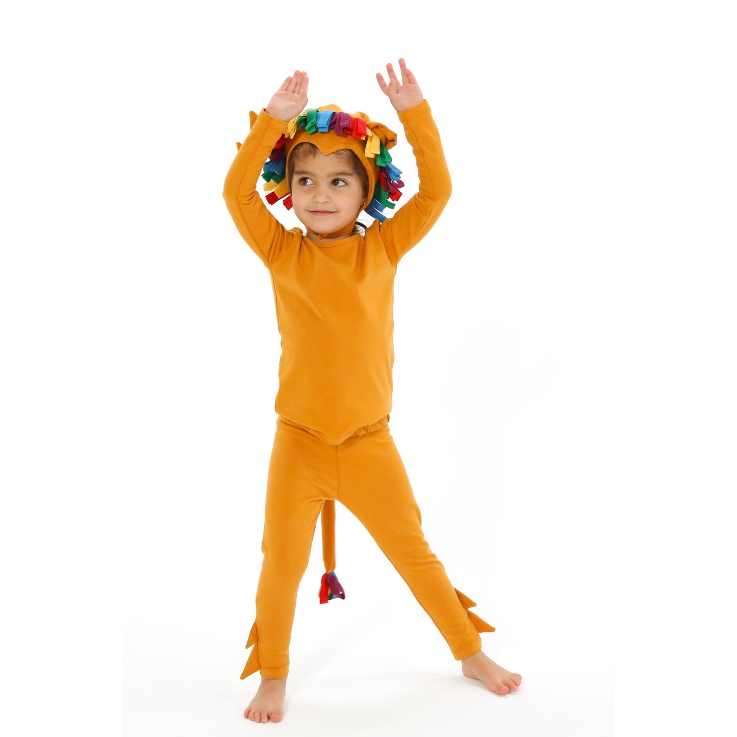 Band of the Wild Rainbow Lion Pajama Costume Pretend Play Clothes