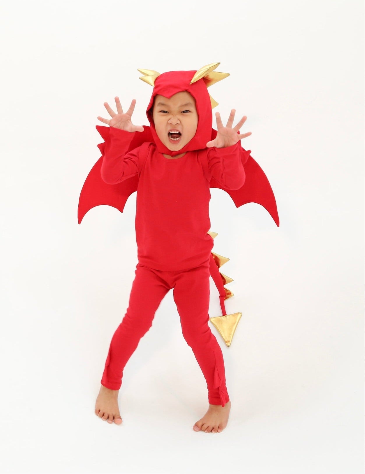Band of the Wild Red Dragon Pajama Costume Pretend Play Clothes