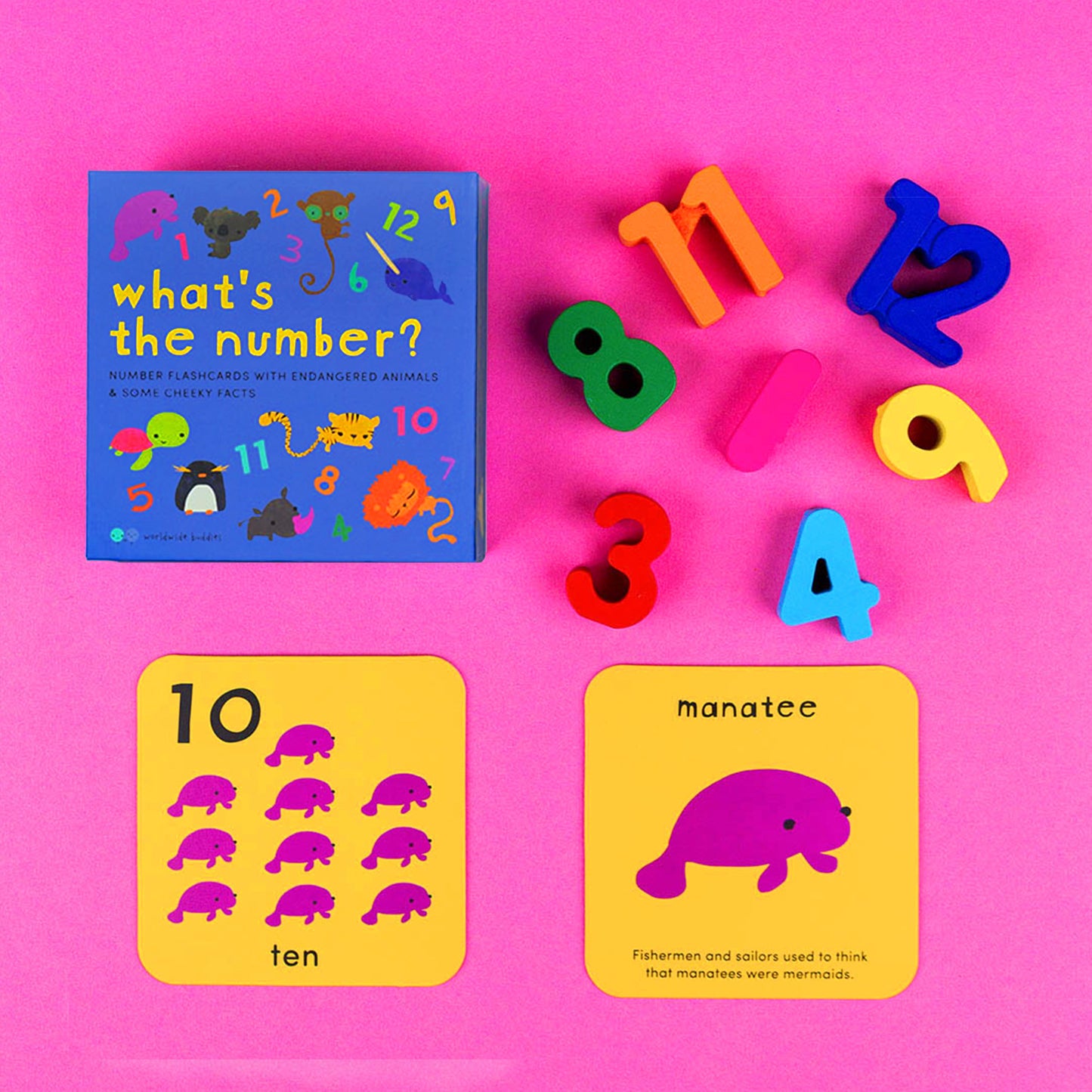 Worldwide Buddies What's the Number? Number Flashcards Flashcards