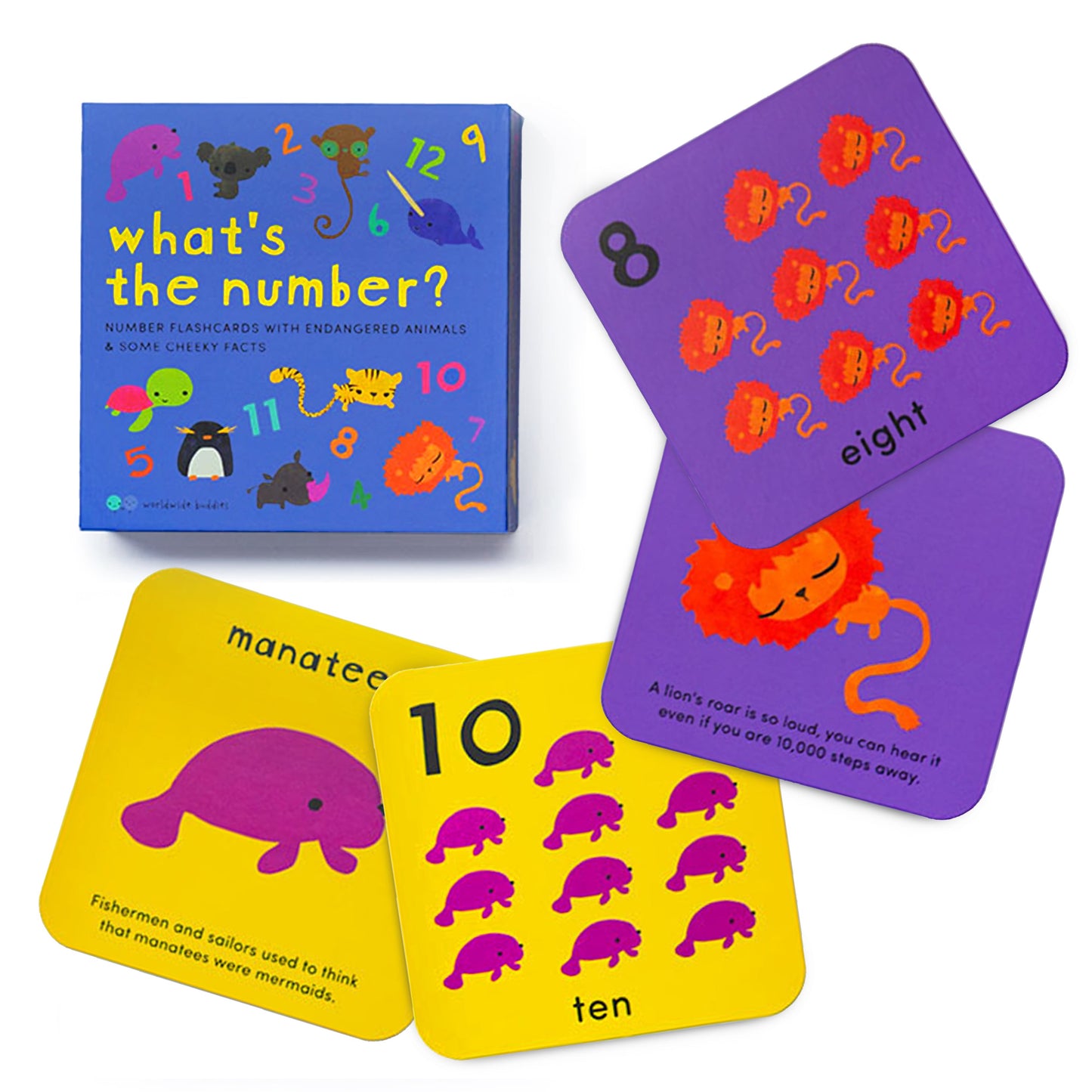 Worldwide Buddies What's the Number? Number Flashcards Flashcards