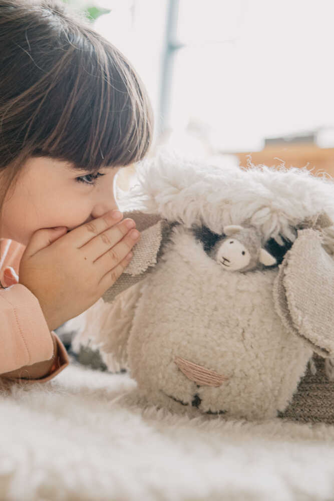 Woolable Basket Pink Nose Sheep